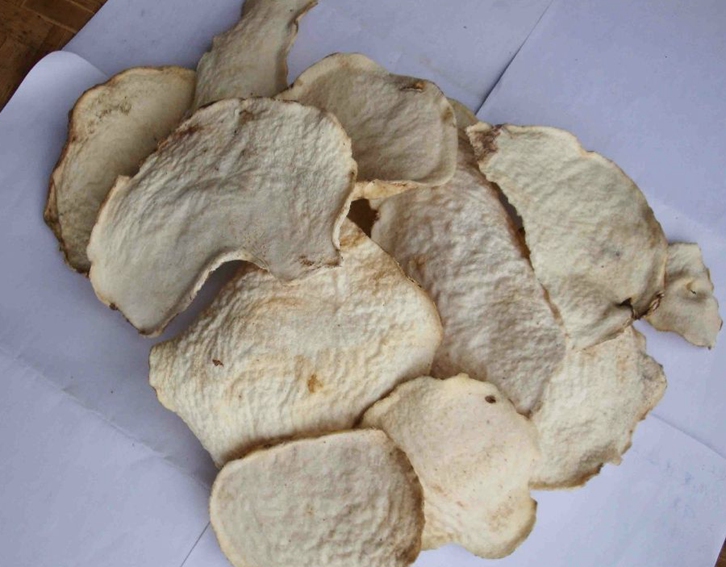 印度尼西亞魔芋干進口報關