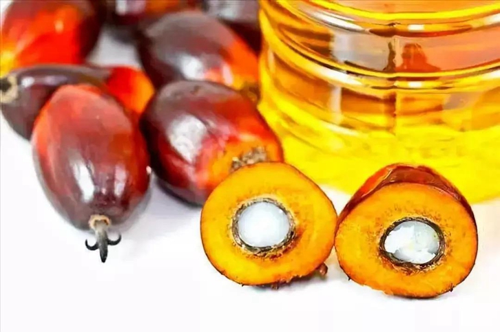 天津棕櫚油進(jìn)口清關(guān)費(fèi)用_食用棕櫚油報(bào)關(guān)關(guān)稅多少