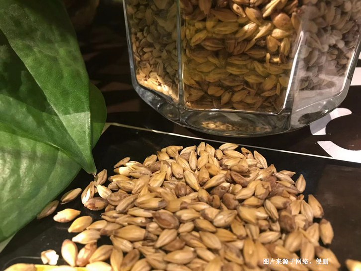 澳大利亞麥芽進(jìn)口報關(guān)資料