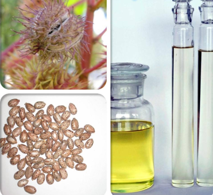 蓖麻油進(jìn)口關(guān)稅