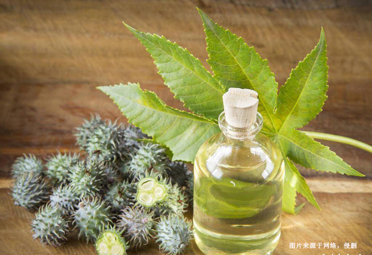 印度精煉蓖麻油進口報關流程