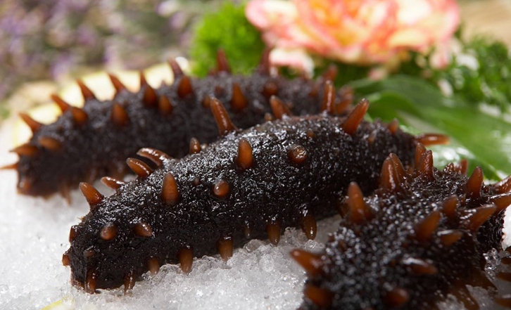 法國冰鮮海參進(jìn)口報關(guān)公司