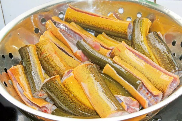 孟加拉黃鱔進口清關費用