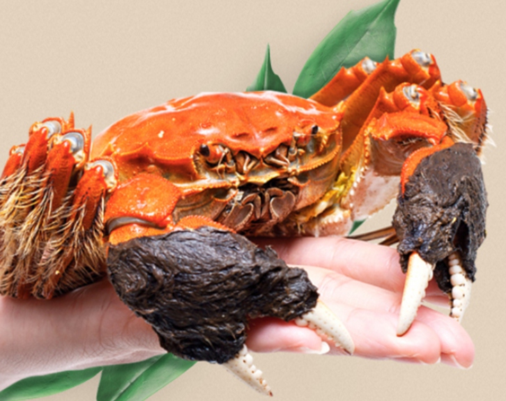 進(jìn)口鮮活螃蟹報(bào)關(guān)