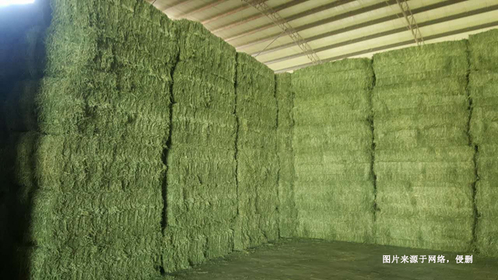 羅馬尼亞苜蓿草進(jìn)口報(bào)關(guān)資料