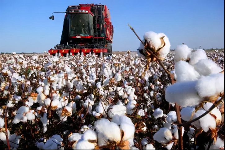 棉花進(jìn)口報關(guān)流程