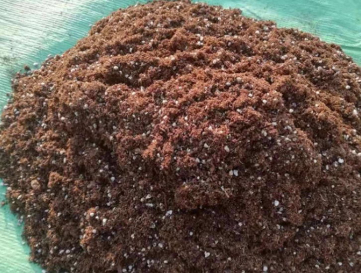 椰糠進(jìn)口報(bào)關(guān)費(fèi)用