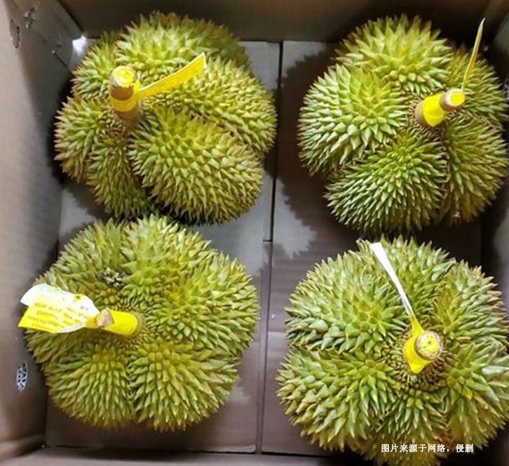 深圳機(jī)場(chǎng)進(jìn)口泰國(guó)榴蓮報(bào)關(guān)資料