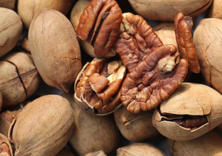 深圳碧根果進口報關公司