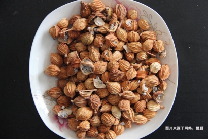 進口澳大利亞豆蔻報關資料-調味料進口無需藥品通關單