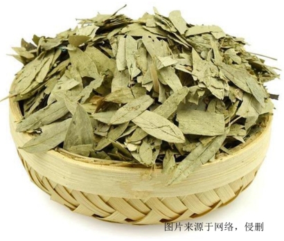 印度番瀉葉進口報關資料費用-20年廣州藥材報關行