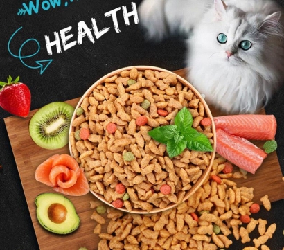 進口寵物食品報關單證_詳解進口流程及要點