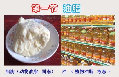 動物油脂進口報關代理難點以及所需資料