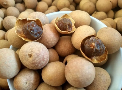 上海龍眼干進口報關(guān)公司哪家好-18年清關(guān)經(jīng)驗