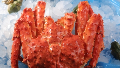 廣東進口俄羅斯帝王蟹報關資料_進口海鮮清關流程