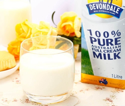 乳制品進(jìn)口報關(guān)流程一站式進(jìn)口代理門到門