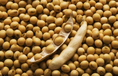 大豆進口報關報檢流程_一般貿易進口大豆-高效通關