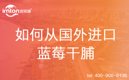 如何從國外進口藍莓干脯