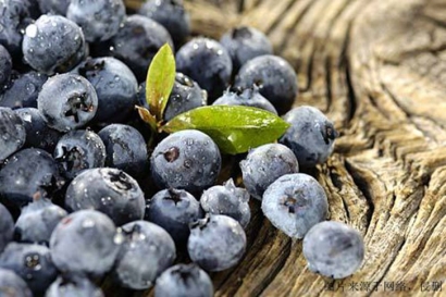 食品進(jìn)口報(bào)關(guān)單證，藍(lán)莓濃縮粉怎么進(jìn)口？