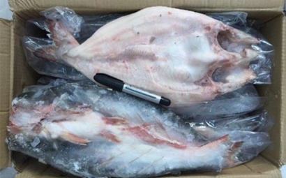 越南冷凍巴沙魚進口報關(guān)到青島代理水產(chǎn)品案例