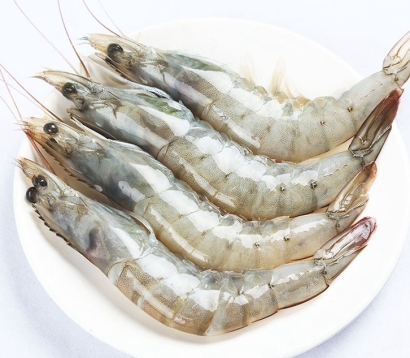 天津進口印度青蝦清關資料_冷凍水產品報關指南