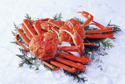 深圳帝王蟹進口清關代理服務