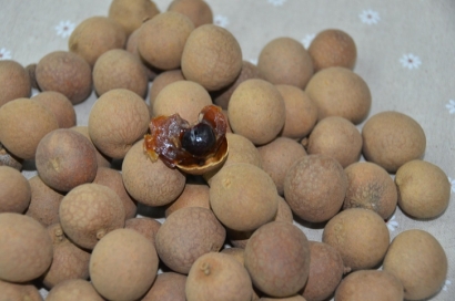 緬甸龍眼進(jìn)口清關(guān)流程_新鮮水果進(jìn)口報關(guān)單證資料