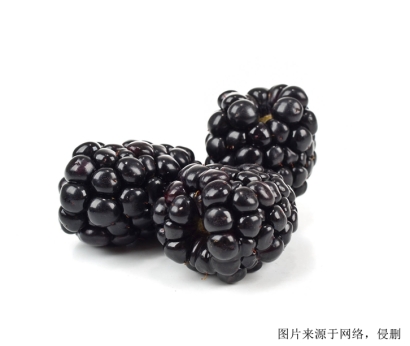 濟南食品進口報關，伊朗桑葚進口怎么報關？