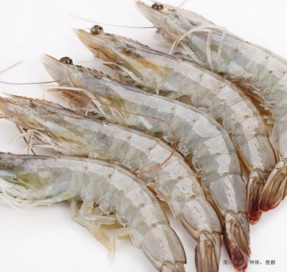 厄瓜多爾南美白蝦進(jìn)口報關(guān)資料到天津水產(chǎn)品案例