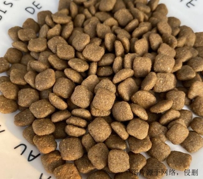 新西蘭寵物零食進口清關流程_上海寵物食品報關行