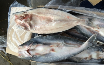 空運(yùn)海鮮進(jìn)口報(bào)關(guān)一般貿(mào)易進(jìn)口需要注意這些，來看看? 