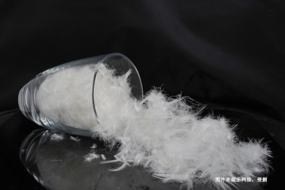 法國水洗羽絨羽毛進(jìn)口報(bào)關(guān)資料_法國準(zhǔn)入水洗羽毛企業(yè)