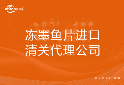 凍墨魚片?進口清關代理公司