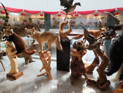 動物標(biāo)本進(jìn)口報關(guān)流程及注意事項