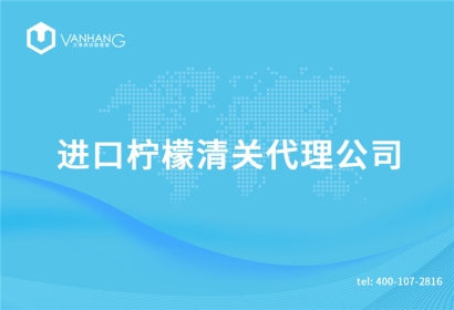 進口檸檬清關代理公司