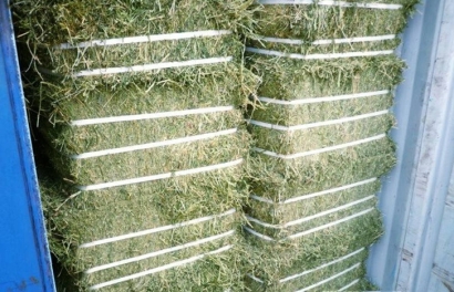 加拿大梯牧草進口報關(guān)流程_準(zhǔn)入植物源性飼料種類