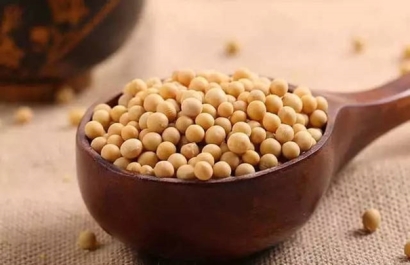 青島港大豆清關(guān)找17年經(jīng)驗(yàn)的廣州臻力公司