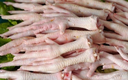 阿根廷冷凍雞爪進(jìn)口報關(guān)一般貿(mào)易進(jìn)口條件