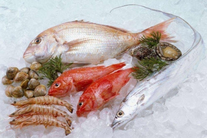 廣州冷凍品進(jìn)口報(bào)關(guān)公司哪家好？廣州報(bào)關(guān)行排名