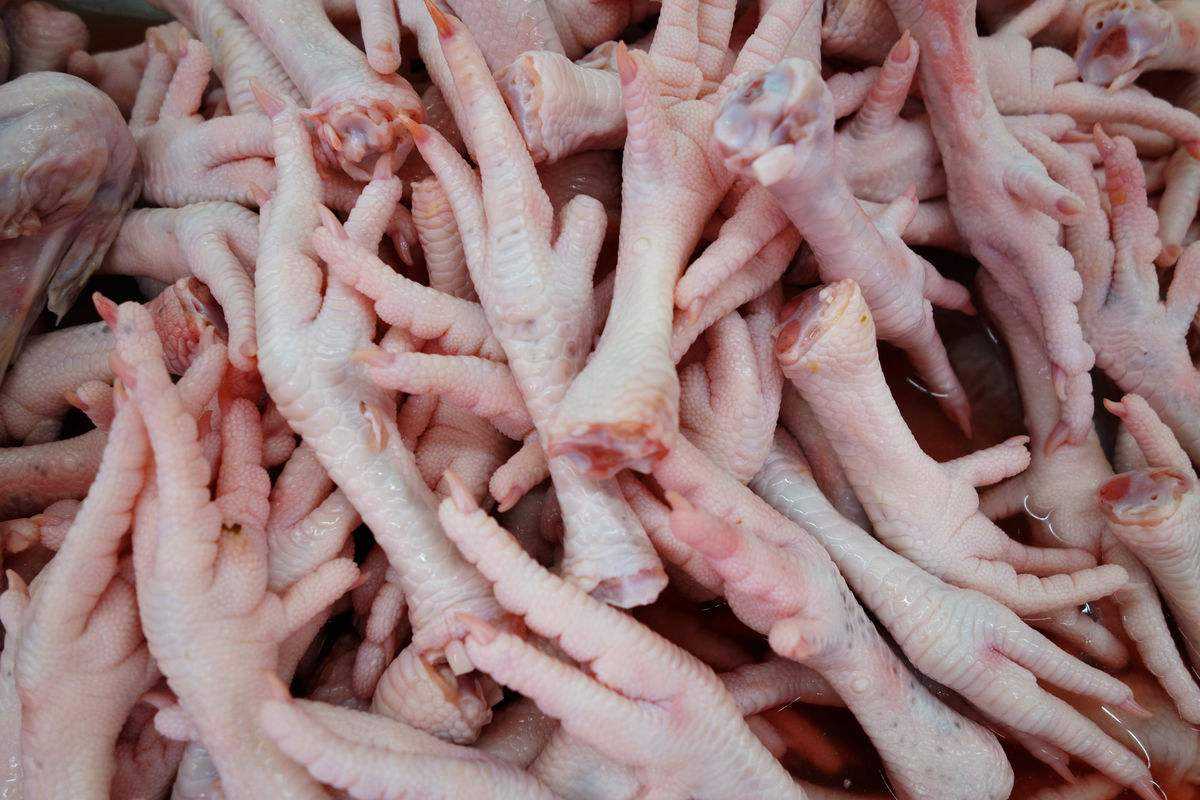 天津雞爪進口報關費用以及流程手續(xù)資料「快速通關」