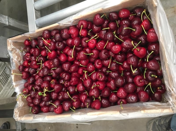 上海進(jìn)口車?yán)遄忧尻P(guān)代理 上海進(jìn)口車?yán)遄忧尻P(guān)代理