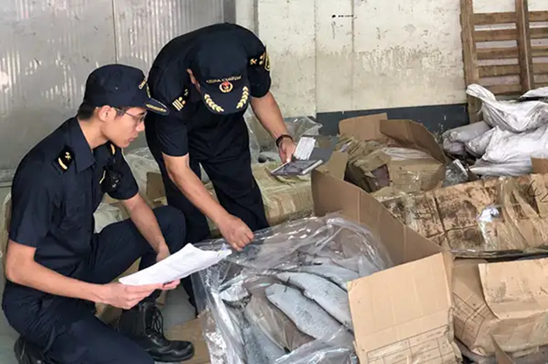 1667997797951232.jpg 水產品進口廣州機場報關.jpg