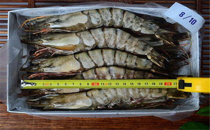 進(jìn)口泰國(guó)蝦清關(guān)代理公司 進(jìn)口泰國(guó)蝦清關(guān)