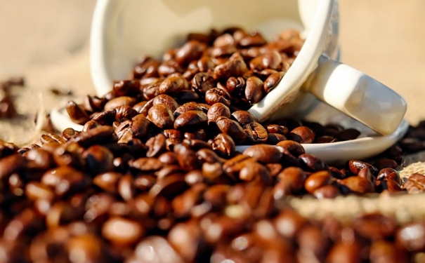 加拿大咖啡豆進(jìn)口報關(guān)的流程以及資料是怎樣的