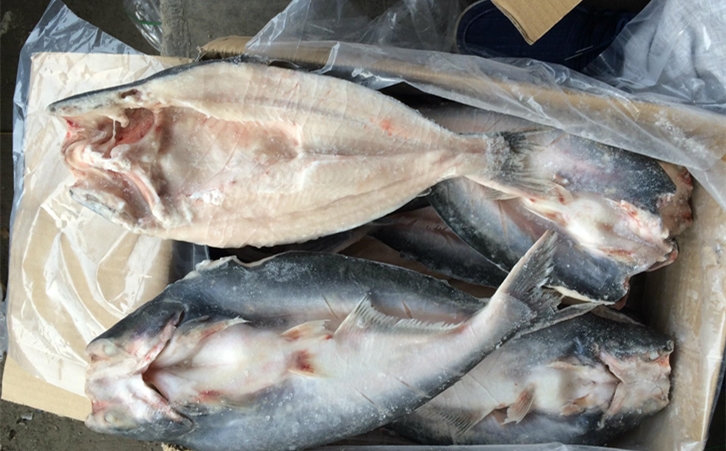 進(jìn)口巴沙魚(yú)清關(guān)代理一點(diǎn)都不難，只要你準(zhǔn)備好這些資料