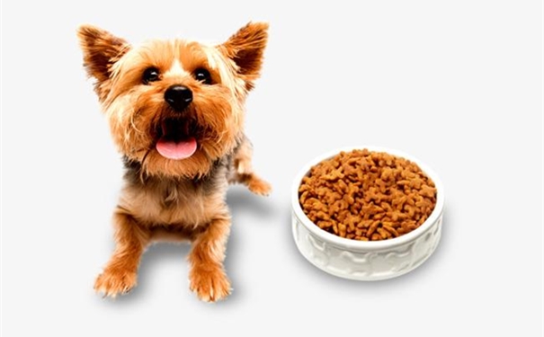 一篇搞懂美國進(jìn)口寵物糧食清關(guān)代理一站式服務(wù)流程 美國進(jìn)口寵物糧食清關(guān)代理