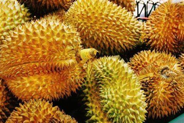 1646817456798811.jpg 機場進口泰國榴蓮報關(guān)_副本.jpg